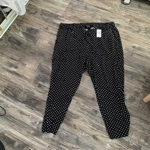 Torrid polka dot pants size 2 NWT